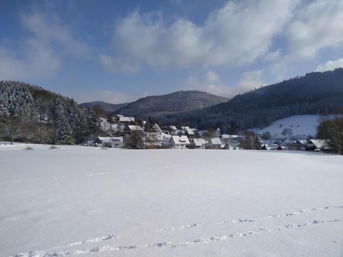 Bed And Breakfast Am Knittenberg Winterberg Eksteriør billede